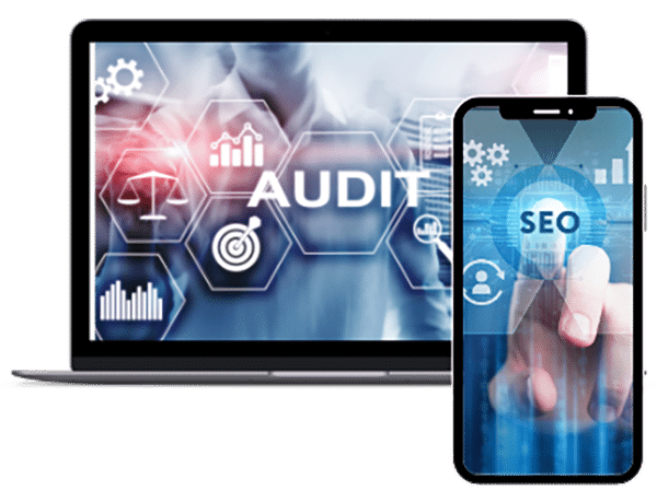 WSI Digital free audit